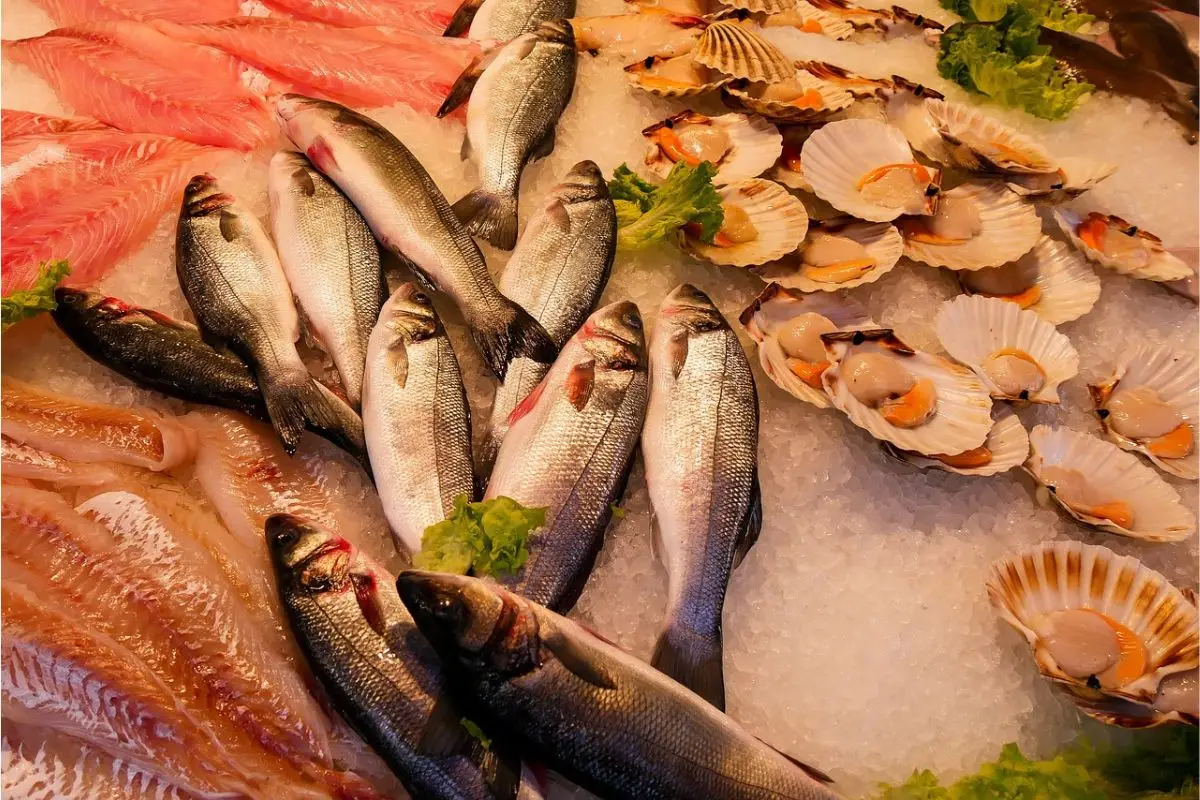 Mercurio negli alimenti: ecco quali pesci limitare per una dieta sicura SC - Pesce con simbolo mercurio
