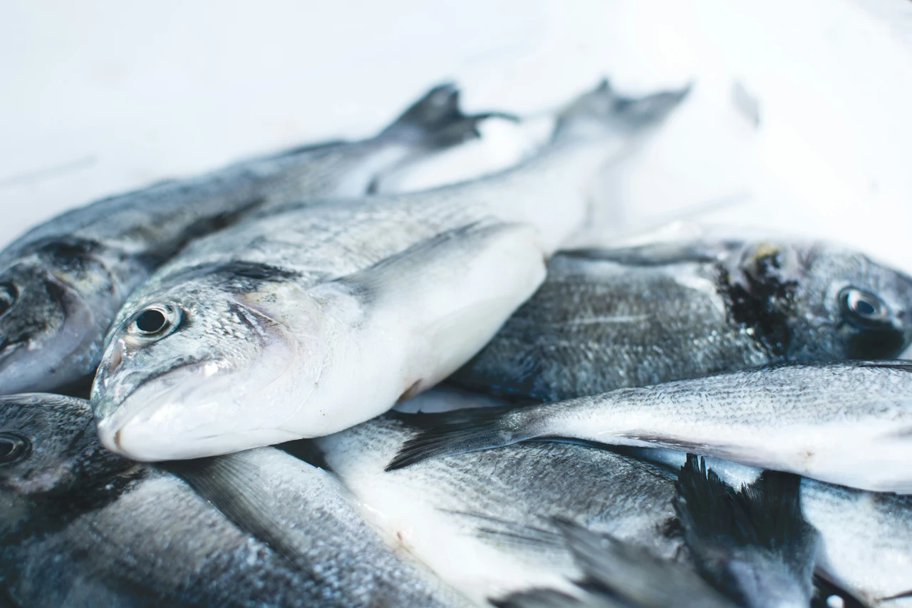 Mercurio negli alimenti: ecco quali pesci limitare per una dieta sicura SC - Pesce con simbolo mercurio
