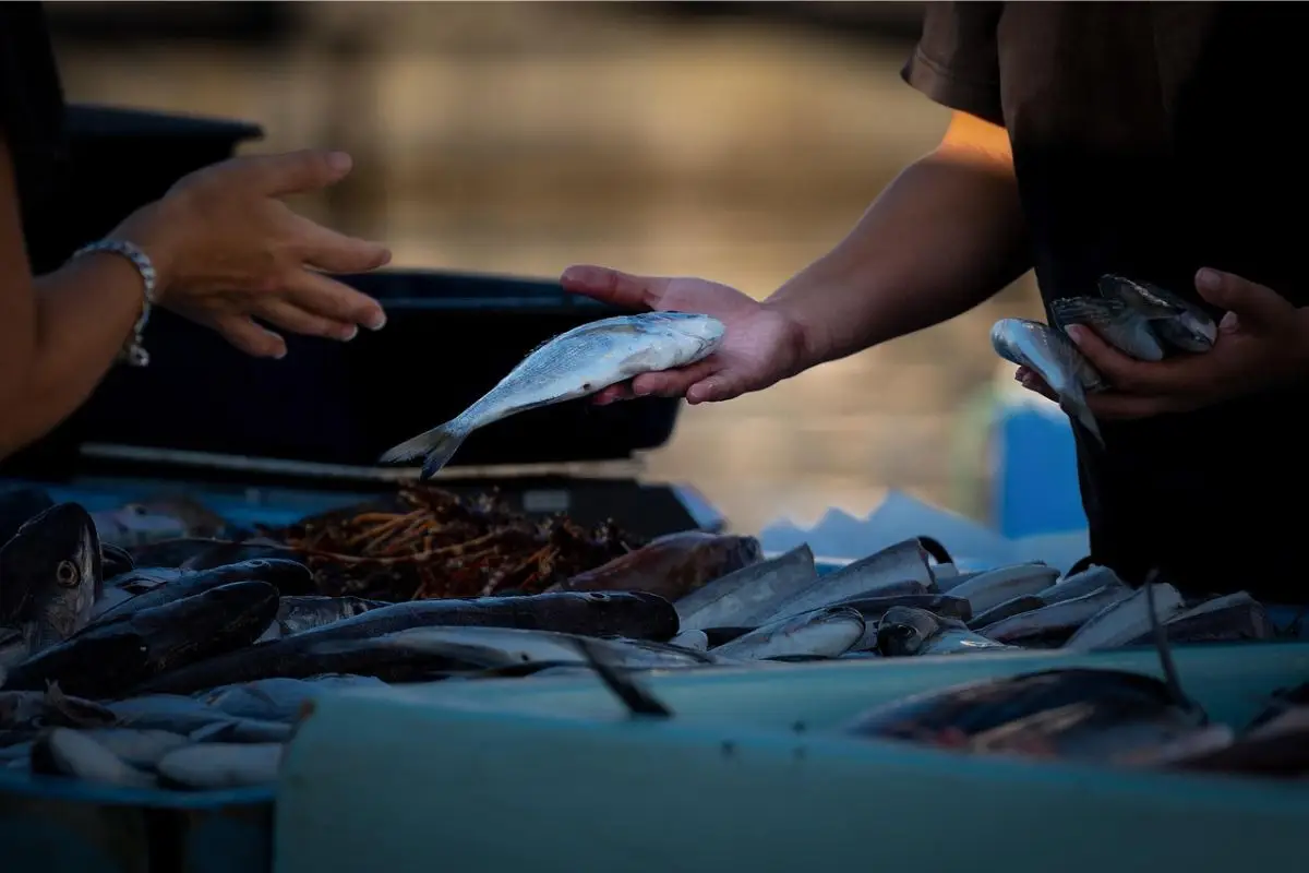 Mercurio negli alimenti: ecco quali pesci limitare per una dieta sicura SC - Pesce con simbolo mercurio