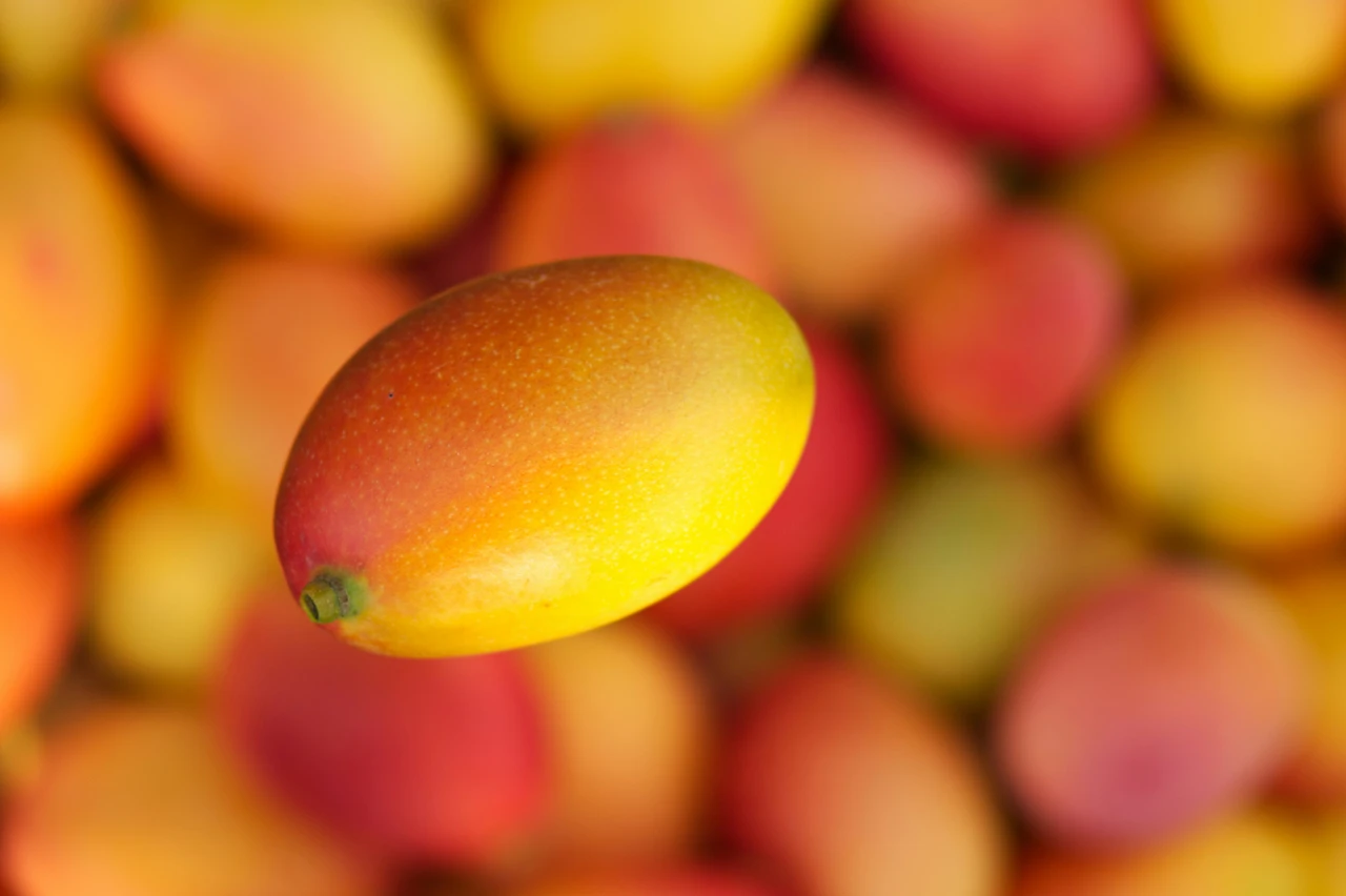 Frullato proteico mango e chia: ricetta per aumentare la massa muscolare Frullato proteico mango e chia: ricetta per aumentare la massa muscolare