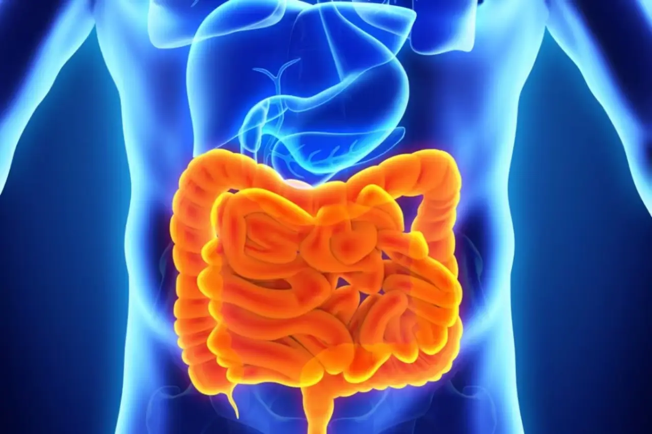Come migliorare la digestione con un semplice massaggio Come migliorare la digestione con un semplice massaggio