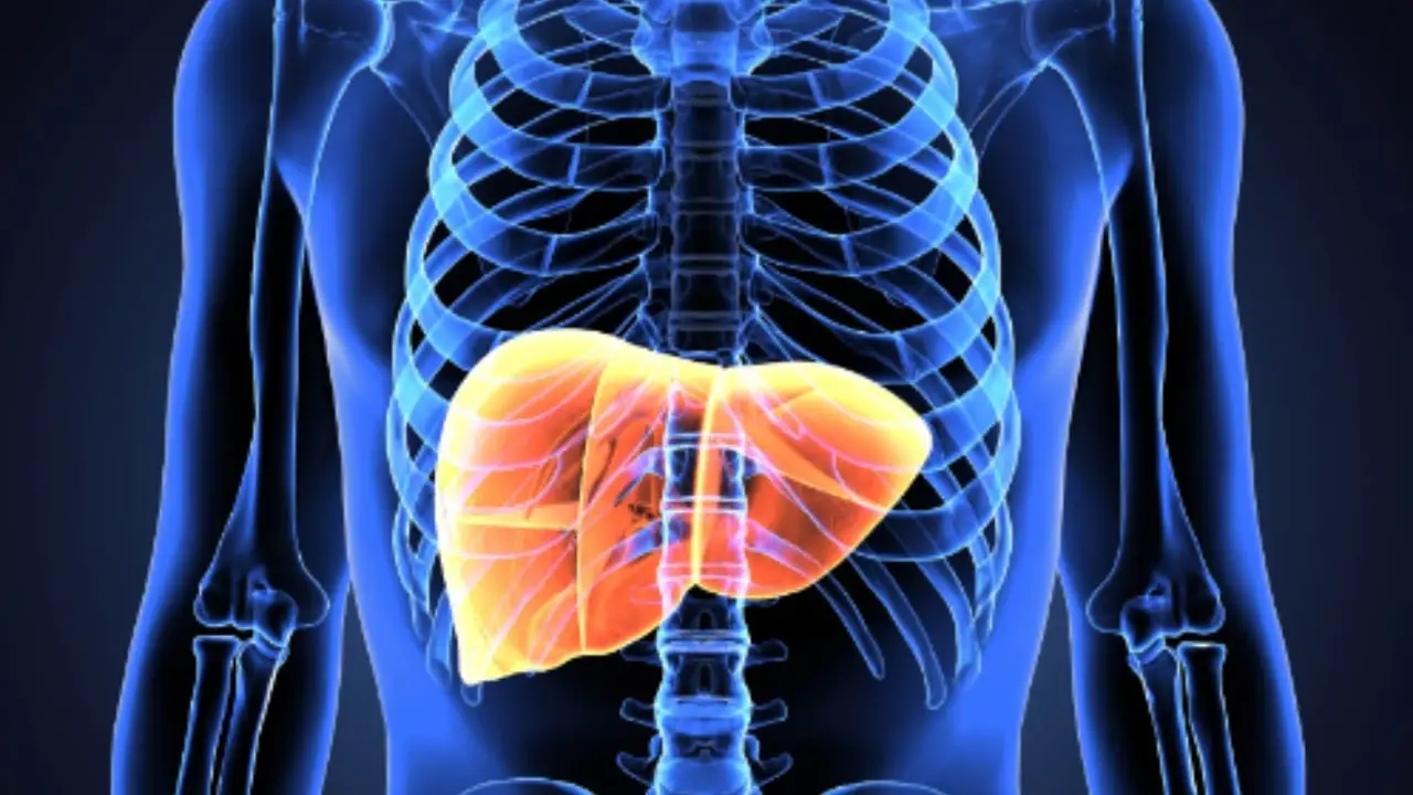 Il tè che depura fegato e intestino: ecco quando berlo Il tè che depura fegato e intestino: ecco quando berlo