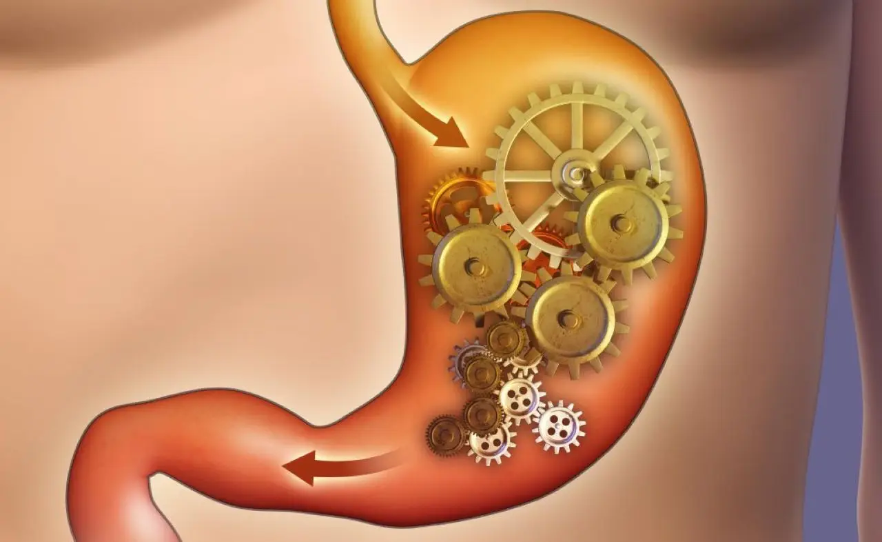 Come riconoscere i segnali di un metabolismo lento e cosa fare per riattivarlo SC - Bilancia metabolismo e orologio
