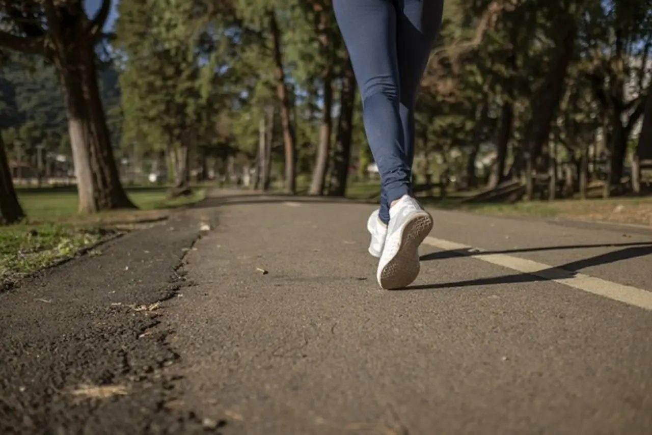Come migliorare la salute del cuore con una passeggiata mattutina: i consigli dei cardiologi Come migliorare la salute del cuore con una passeggiata mattutina: i consigli dei cardiologi