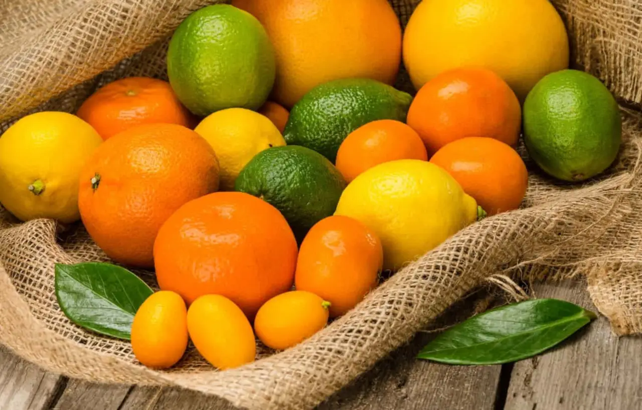 Il frutto estivo che rafforza il sistema immunitario: perché mangiarlo secondo la nutrizionista Il frutto estivo che rafforza il sistema immunitario: perché mangiarlo secondo la nutrizionista