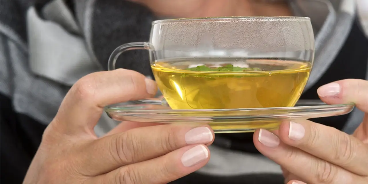 L’infuso estivo che sostiene il fegato nelle giornate calde: la guida dei fitoterapisti L’infuso estivo che sostiene il fegato nelle giornate calde: la guida dei fitoterapisti