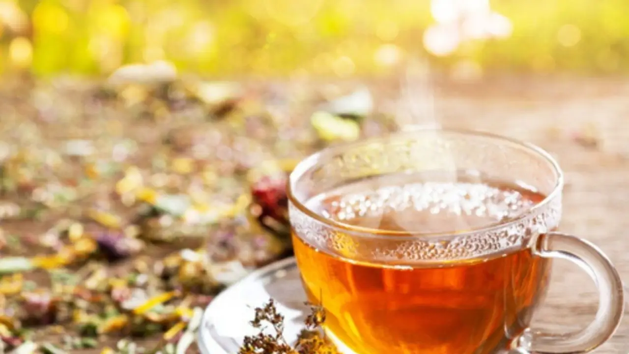L’infuso estivo che sostiene il fegato nelle giornate calde: la guida dei fitoterapisti L’infuso estivo che sostiene il fegato nelle giornate calde: la guida dei fitoterapisti