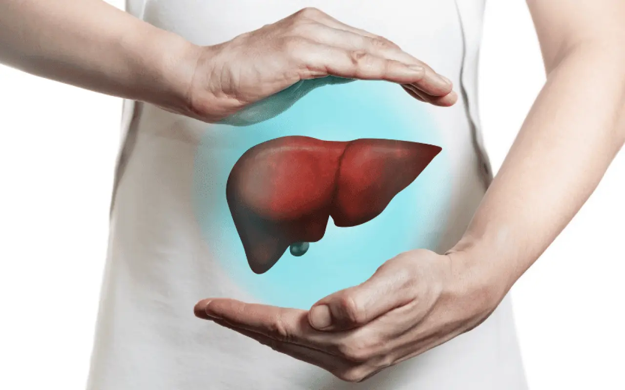 L’infuso estivo che sostiene il fegato nelle giornate calde: la guida dei fitoterapisti L’infuso estivo che sostiene il fegato nelle giornate calde: la guida dei fitoterapisti