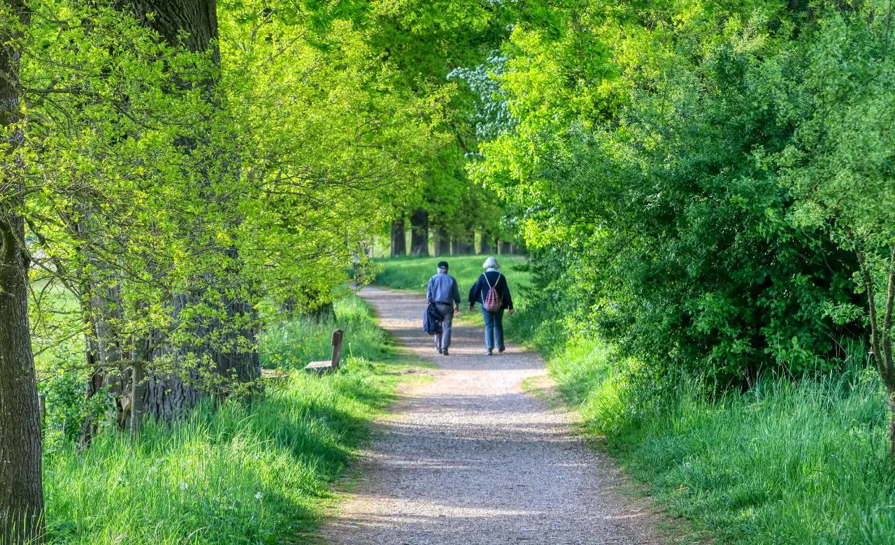 Come migliorare la qualità del sonno con una camminata serale: il metodo approvato dai fisioterapisti Come migliorare la qualità del sonno con una camminata serale: il metodo approvato dai fisioterapisti