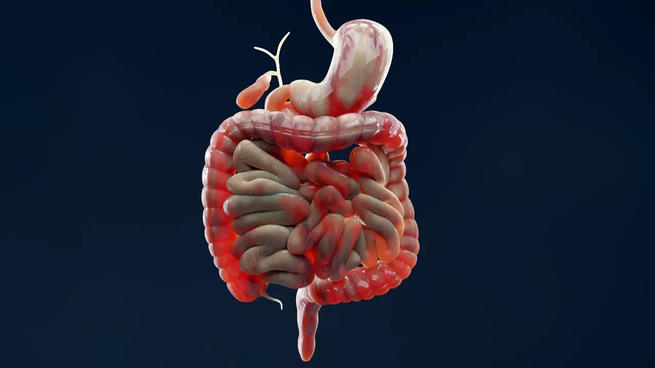 Come sostenere il benessere del microbiota intestinale a giugno: la guida aggiornata degli esperti Come sostenere il benessere del microbiota intestinale a giugno: la guida aggiornata degli esperti